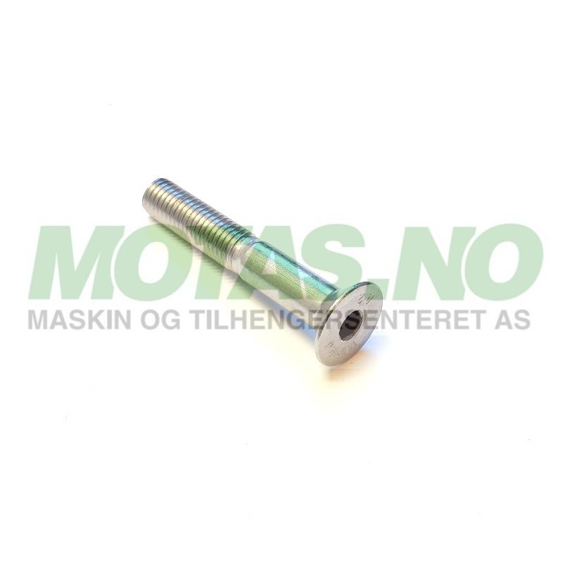 Bolt M10x65 A2 Forsenket